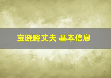 宝晓峰丈夫 基本信息